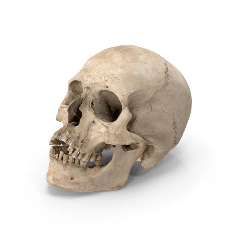 pricing-image-1